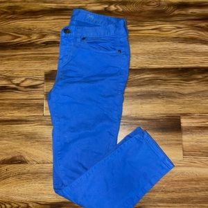 J.Crew Toothpick Blue Denim Pants